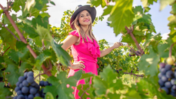 Planea tu escapada a la zona vinícola de Chihuahua y recorre su Ruta del Vino.