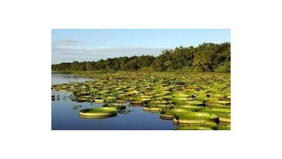 Encuentro para la reactivación turística.