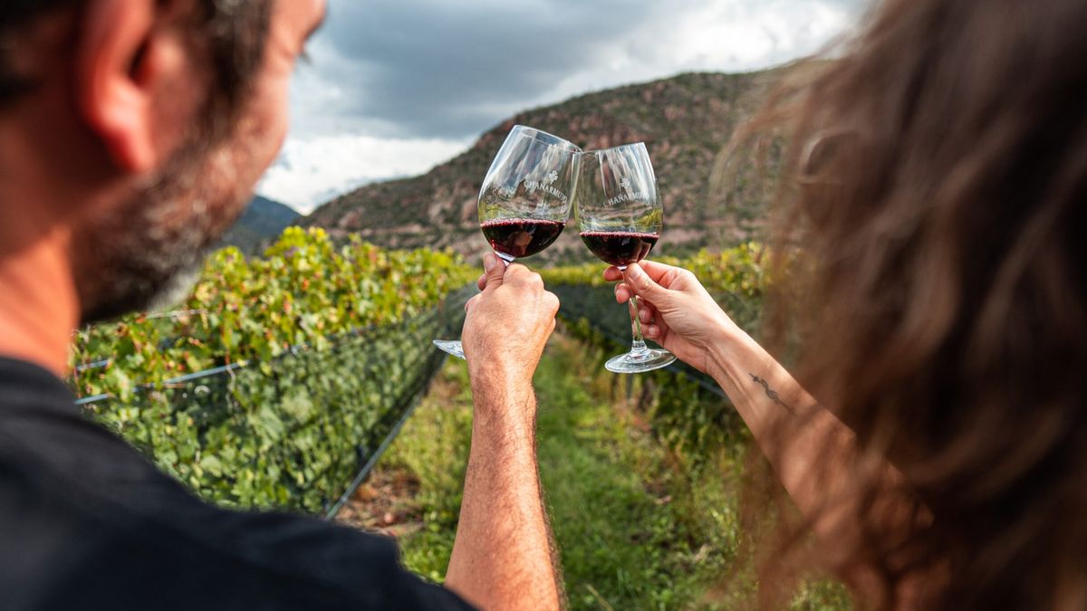 Vacaciones en La Rioja: la Ruta del Vino en la provincia destaca por su innegable identidad. Vacaciones en La Rioja: la Ruta del Vino en la provincia destaca por su innegable identidad.
