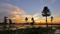 altText(Parques Nacionales aumentaron sus tarifas un 600% y lanzan promociones para fomentar la demanda)}