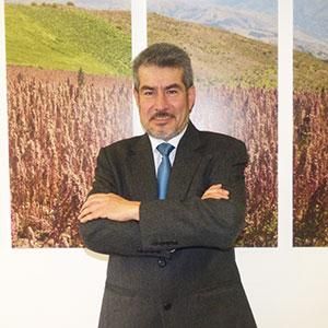 - Ladevi Medios y Soluciones