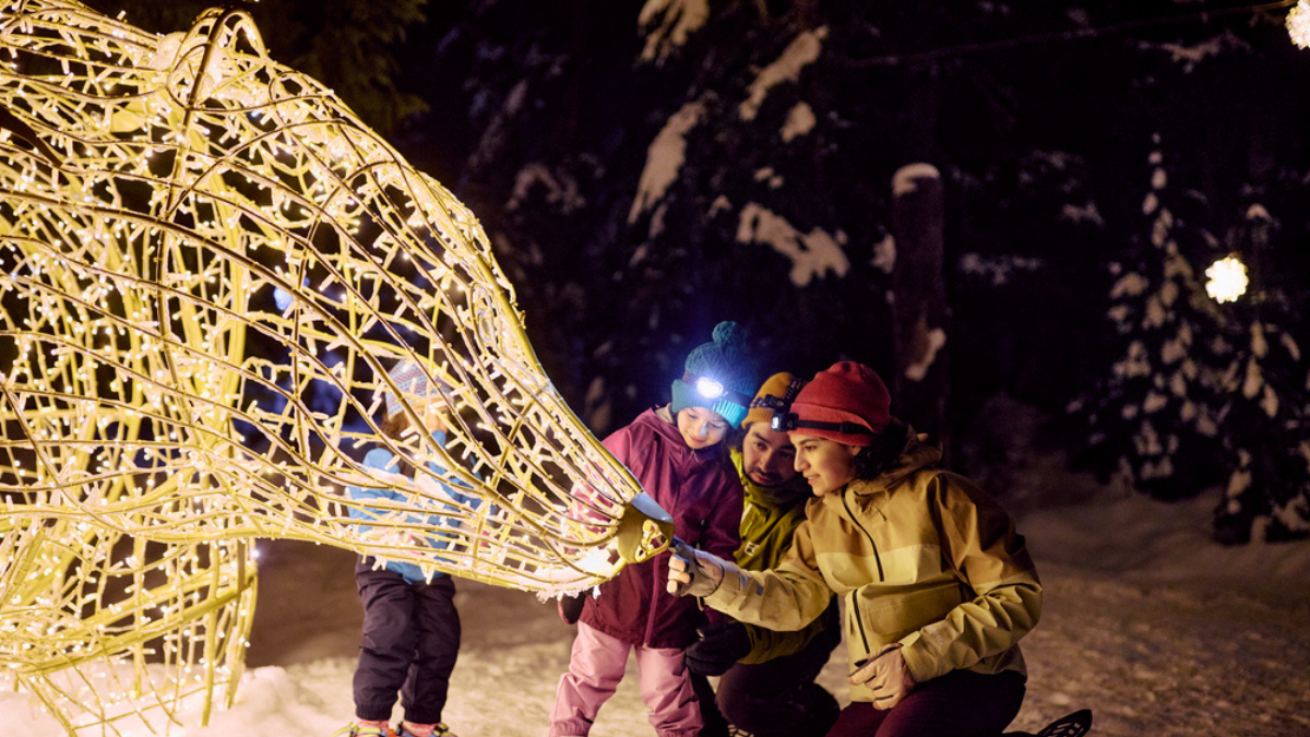 Sorpréndete con las actividades invernales de esta ciudad.