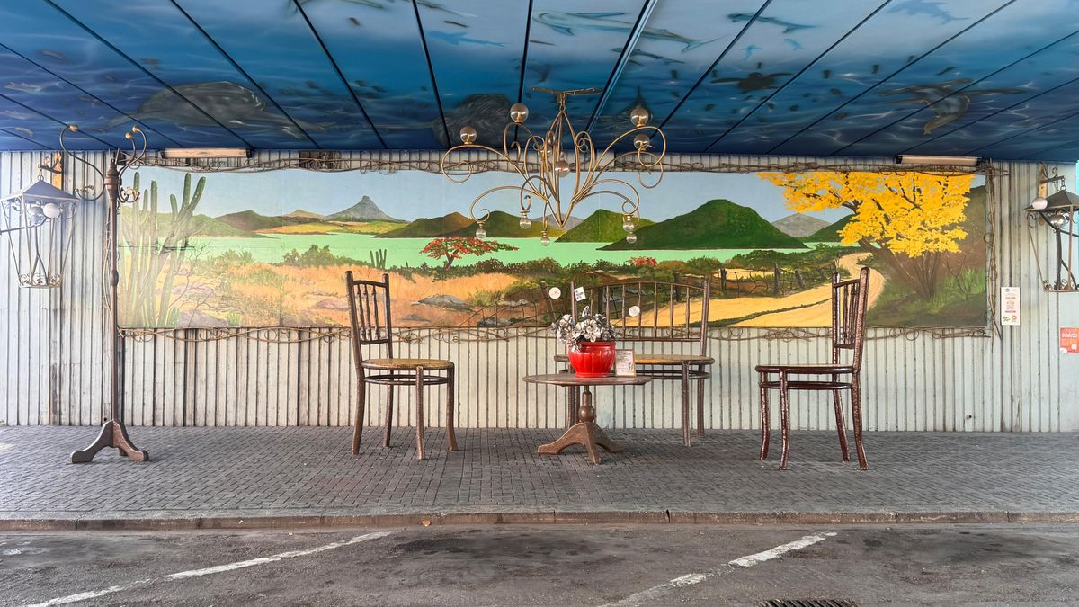 Caminata por Ser'i Otrobanda, un lugar que ofrece increíbles muestras de arte callejero de algunos de los artistas locales más populares de Curazao. 