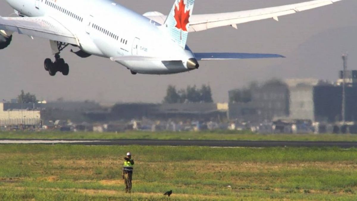Aeropuerto de Santiago ha visto interrupciones en vuelos por la presencia de aves desde el 11 de abril.