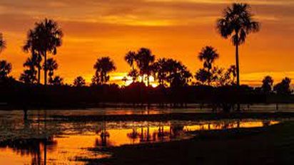 La comida de Quindío, tiene platos realmente exquisitos que sin duda deben ser probados.