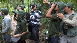 Perú se consolida como el mejor destino para realizar avistamiento de aves.