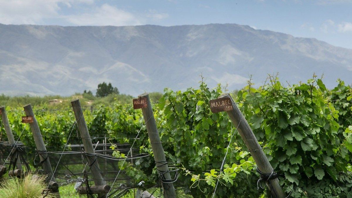 Escapadas: La Matilda cuenta con 10 habitaciones dobles, amplias y confortables. 