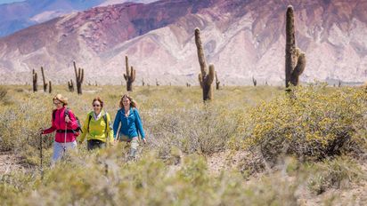 Vacaciones de invierno: 3 escapadas imperdibles para disfrutar en Salta