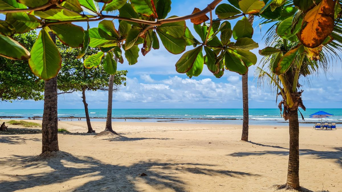 Playa de Boa Viagem en Recife (Brasil), con vuelos charter y operativa especial de Soltour en este 2026.