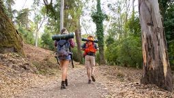 Pereira permite recorrer senderos rodeados de bosque andino y una de las mayores concentraciones de biodiversidad del Eje Cafetero.