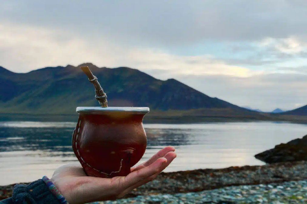 JetSmart: llevar mate en el avión está permitido JetSmart: llevar mate en el avión está permitido