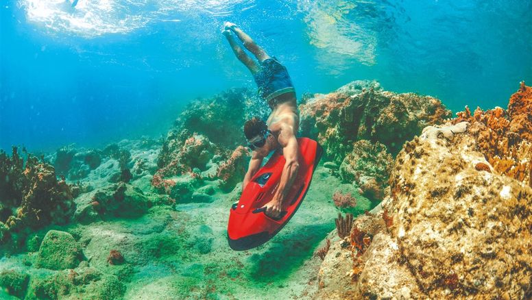 La propuesta por Florida contempla nadar con los manatíes, degustar una de las cervezas artesanales más exclusivas; y relajarse en un entorno natural.