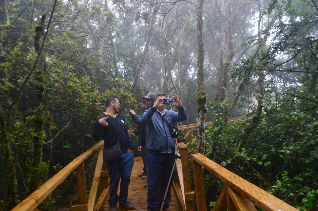El Parque Nacional Fray Jorge se ubica en la Región de Coquimbo. 