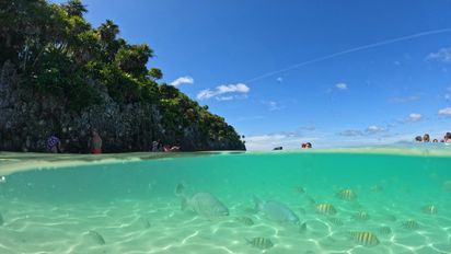 Mega Travel presenta su nuevo programa “Gran Tour de Centroamérica”, una experiencia de &nbsp;15 días/14 noches que recorre El Salvador, Honduras, Guatemala, Panamá y Costa Rica.