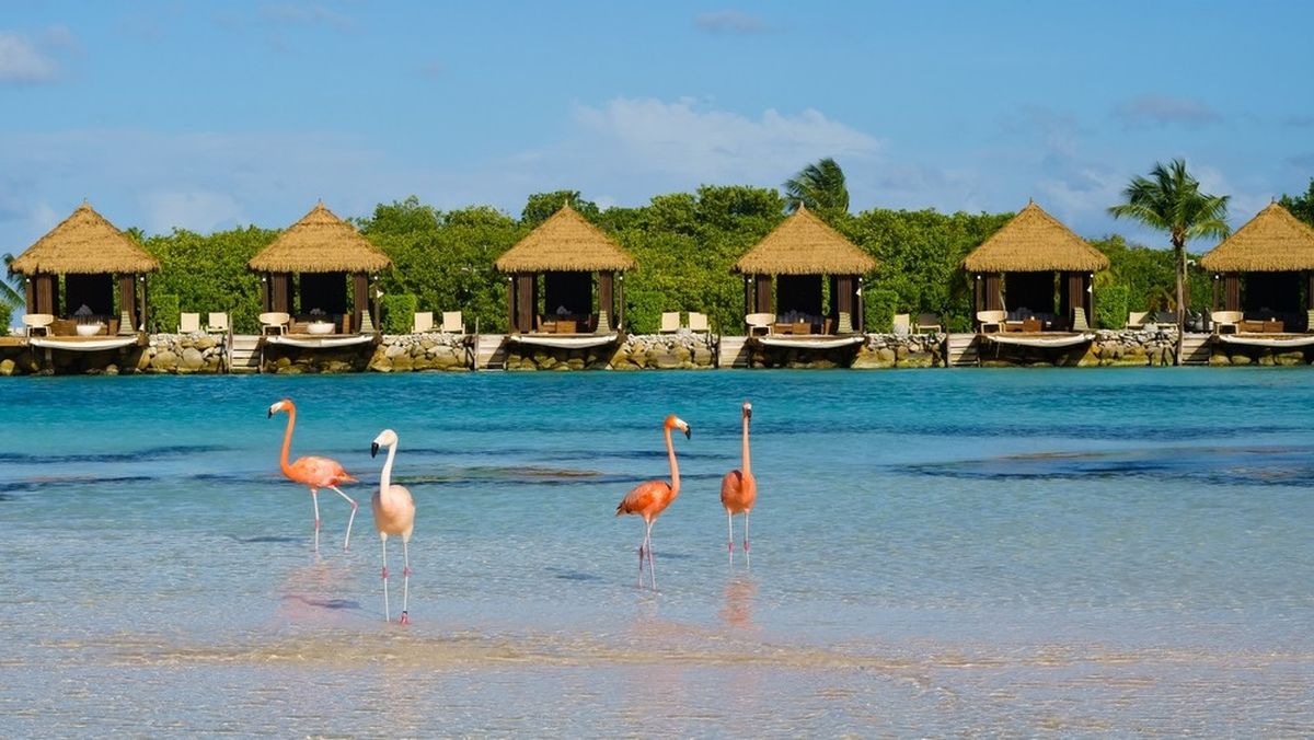 Vacaciones en el Caribe: la capital de Aruba es reconocida por ser una ciudad colorida y con una arquitectura colonial holandesa.