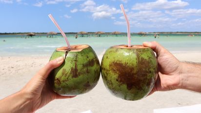 Brasil: 50 playas para que elijas la ideal para tus vacaciones