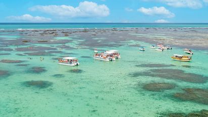 Verano en Brasil: conocé cuál es la playa que fue suspendida y ya no podrás visitar esta temporada 2025.