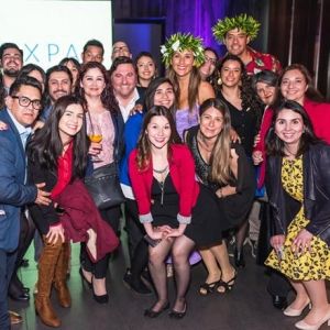- Ladevi Medios y Soluciones