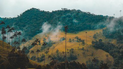 MAKAYA IMPACT TRAVEL. Turismo regenerativo