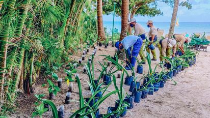 Iberostar comparte sus avances en materia de sustentabilidad