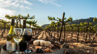 Panoramas: Enoturismo Chile presentó el Mapa de las Fiestas de las Vendimias 2024. Imagen de Valle del Choapa.