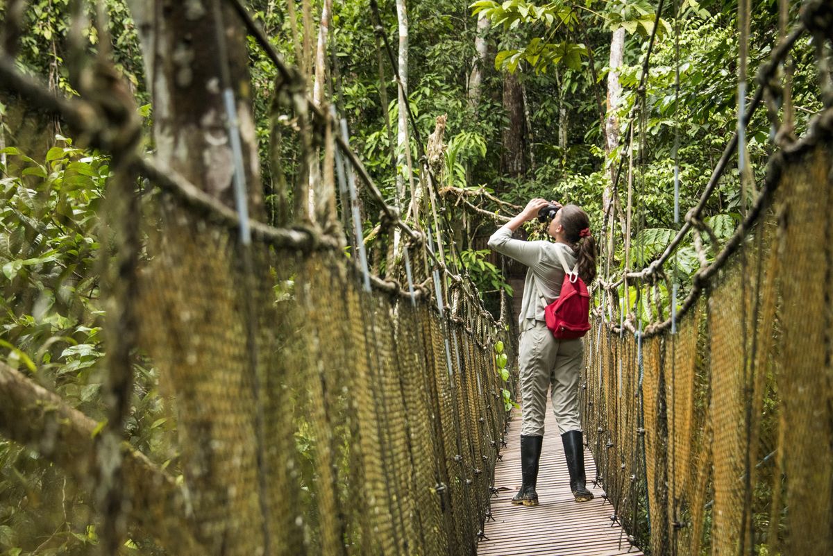Los programas de crucero Zafiro incluyen actividades de turismo sostenible guiadas por biólogos naturalistas.