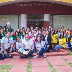 - Ladevi Medios y Soluciones