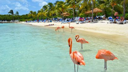 La Isla Feliz del Caribe: Aruba lanza descuentos exclusivos para este Black Friday