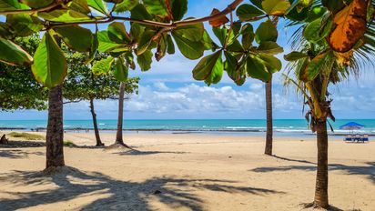 Playa de Boa Viagem en Recife (Brasil), con vuelos charter y operativa especial de Soltour en este 2026.
