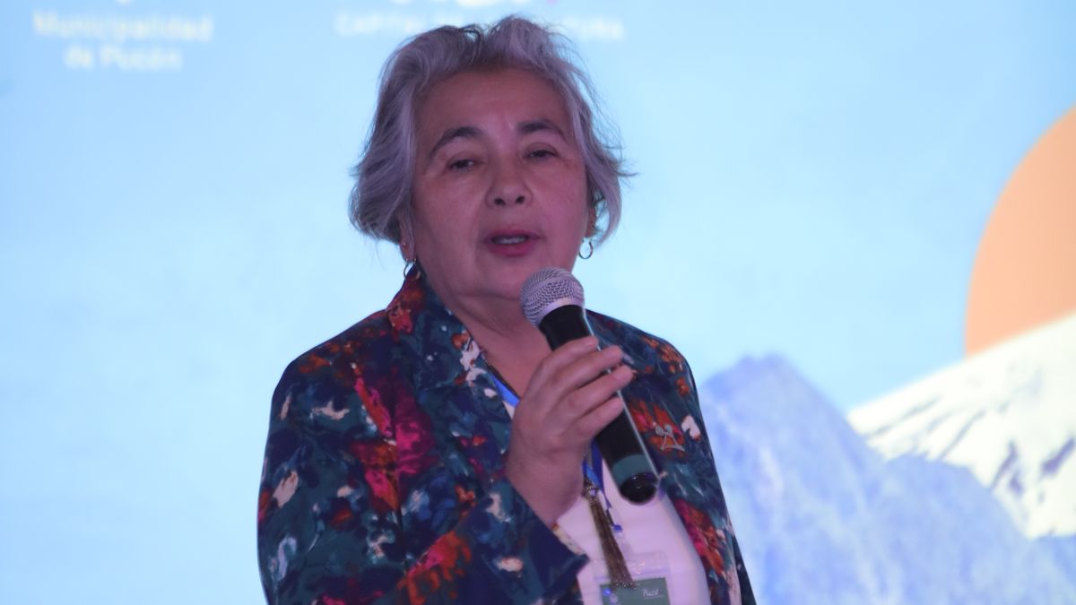 Jessica Fernández, presidenta de Pucón Convention Bureau. 