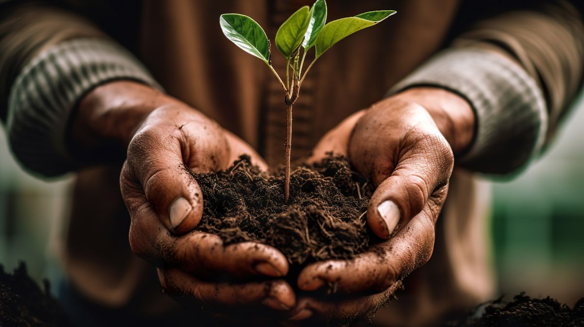 Ecoturismo, una alternativa para crear conciencia sobre el medio ambiente.