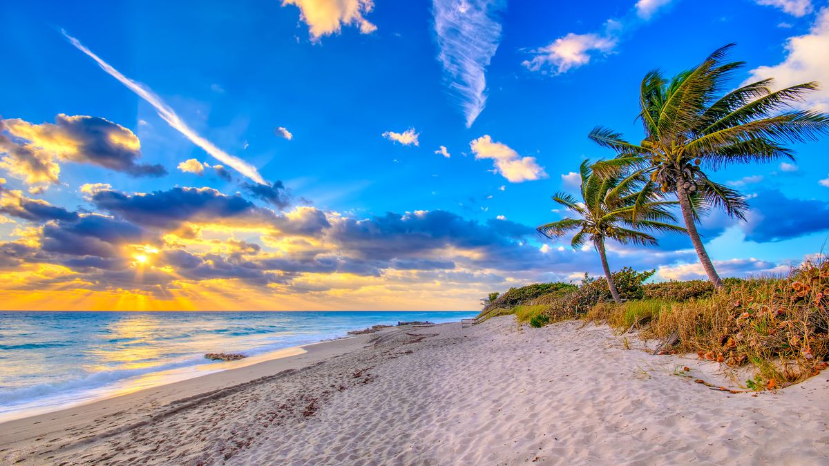 ¿Qué hacer en Palm Beach, el lujoso destino de Florida?