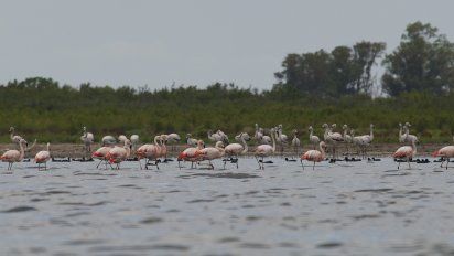 Córdoba: ¿Cómo es el nuevo Parque Nacional Ansenuza?