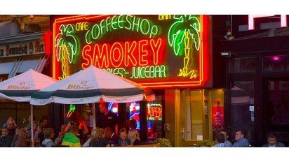 Ámsterdam año verde