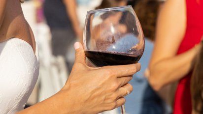 El vino Terruño Merlot 2021 se destaca en nariz por sus aromas a frutos delbosque y sutiles notas a especias dulces.&nbsp;
