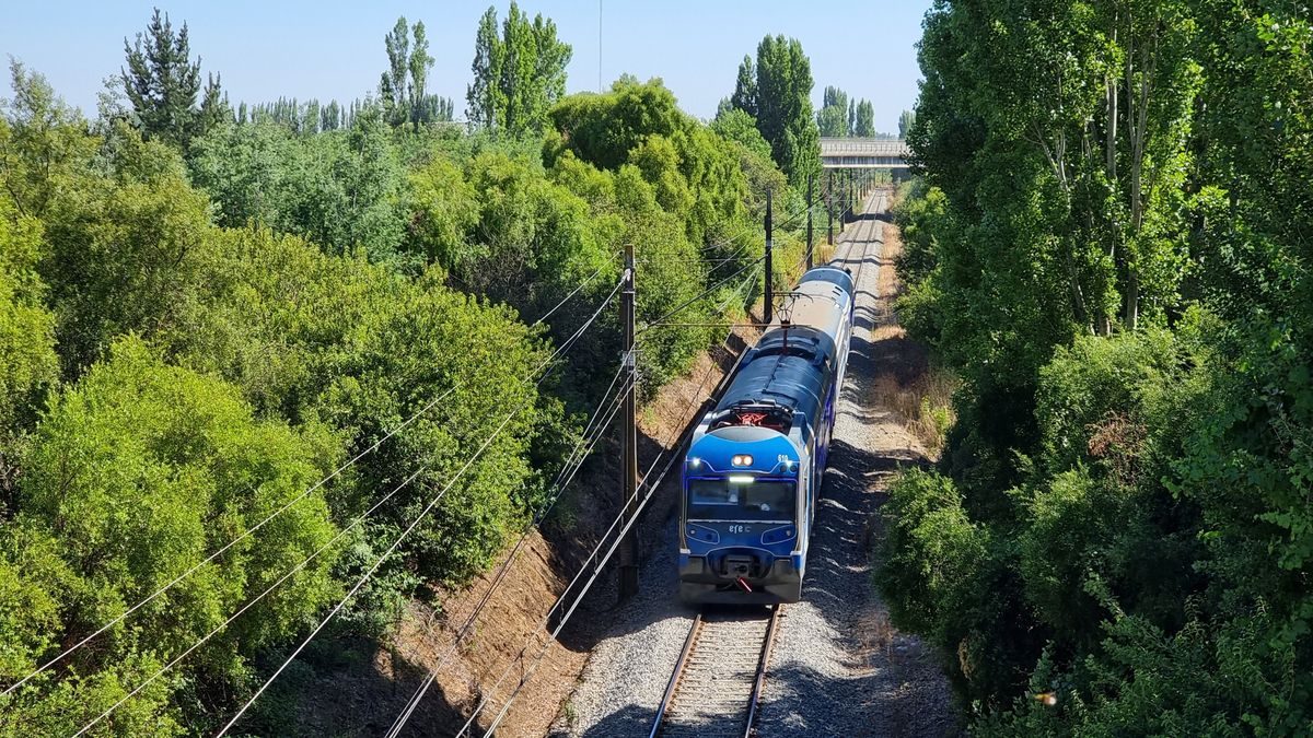El Tren Sabores de Cachapoal lleva a los viajeros a degustar vinos y recorrer viñedos emblemáticos como Valle Secreto y Casa Acosta en el valle central.