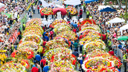 La tradicional Feria de las Flores que se realiza en Medellín es uno de los eventos más importantes del país.  