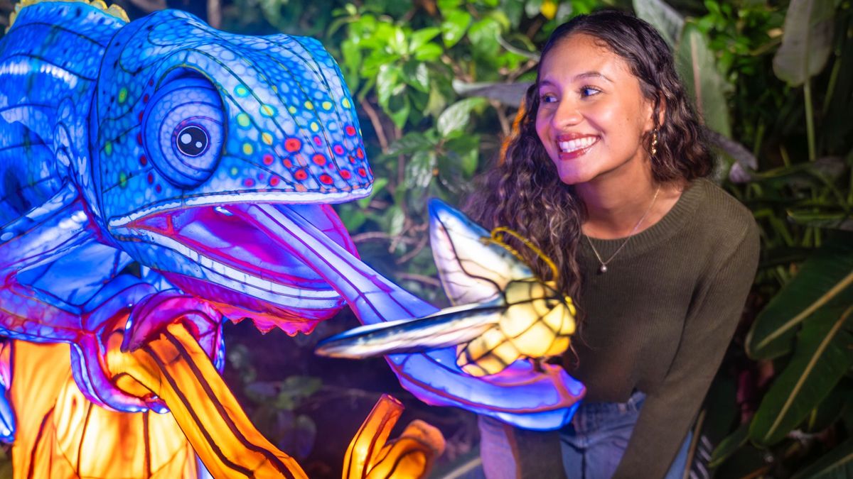 El nuevo evento de Aquatica Orlando será uno de los más luminosos de Orlando.