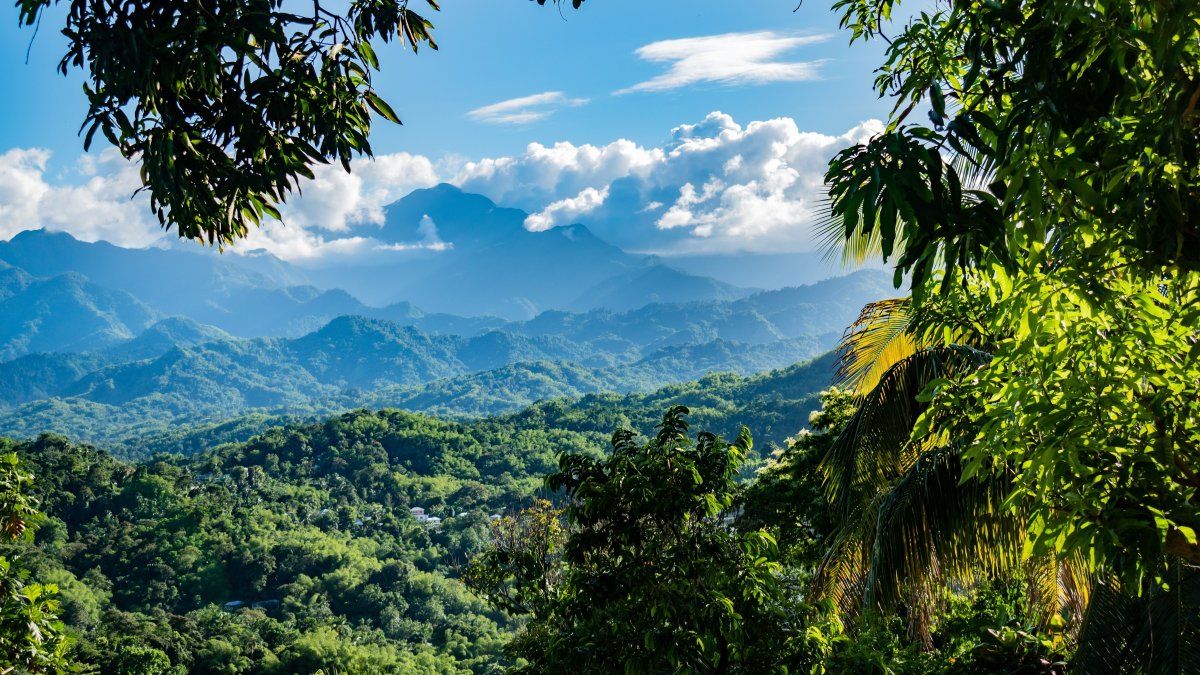 Blue Mountains en Jamaica es el destino perfecto para los amantesde la aventura y el buen café.