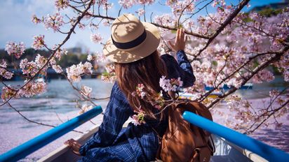 Vacaciones soñadas en Asia: descubrí Corea y Japón entre templos, tradiciones y flores de cerezo