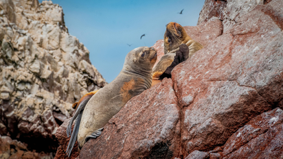 3 lugares poco conocidos para explorar en Perú