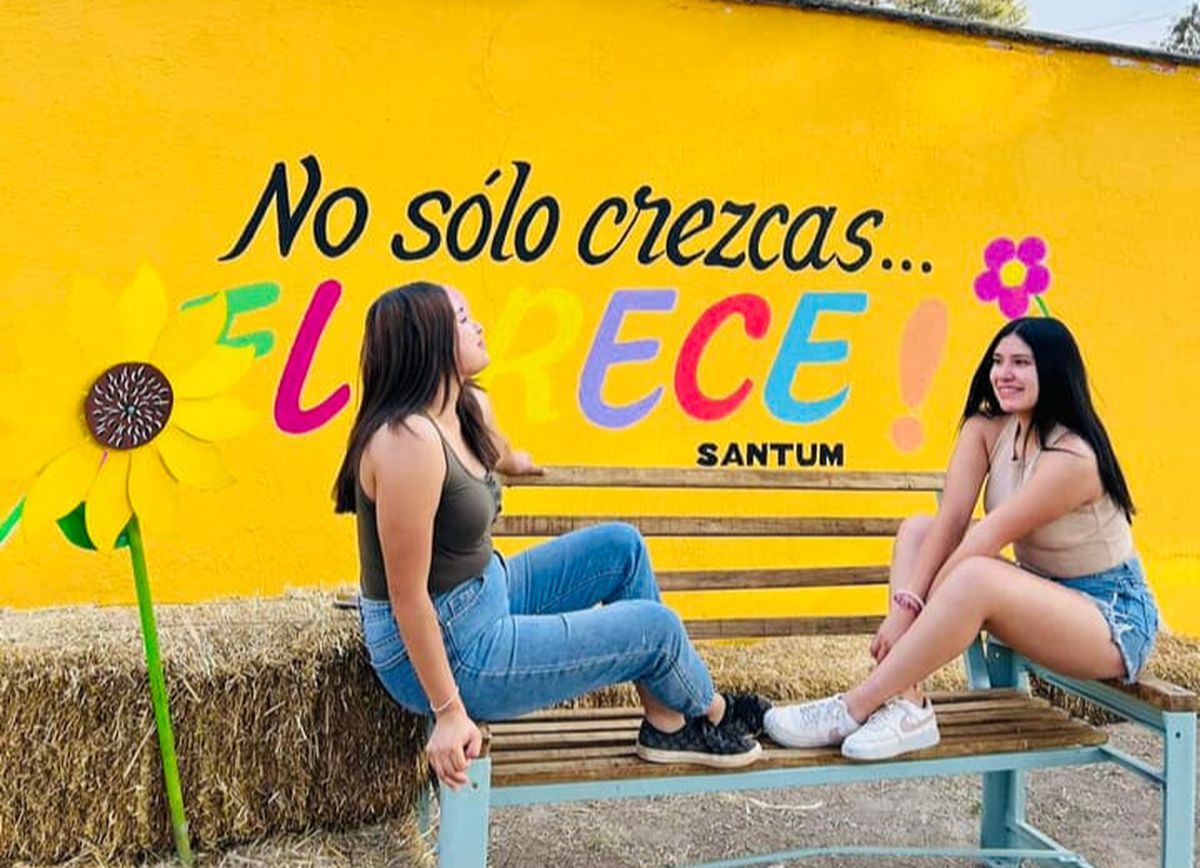 Pasa una tarde divertida tomándote fotos en el campo de girasoles Santum