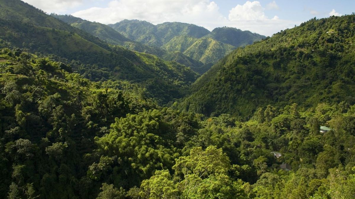 Un viaje a Jamaica es un regalo para los amantes de la naturaleza, con su fauna salvaje, montañas, aguas claras y bellos jardines cautiva a aquellos que pretenden disfrutar del turismo al aire libre.
