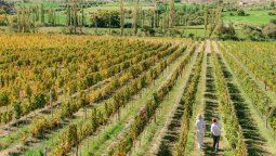 altText(Semana Santa 2026 en Salta, Humahuaca y Cafayate)}