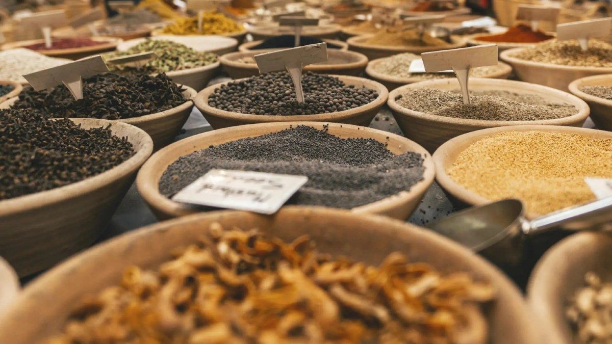 Vacaciones 2026: los viajes con sentido son en grupo reducidos y se destina más tiempo a cada destino que se visita. Vacaciones 2026: los viajes con sentido son en grupo reducidos y se destina más tiempo a cada destino que se visita.