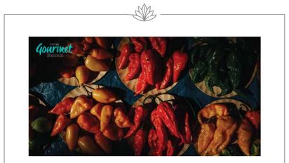 Barceló Maya Resort invita a disfrutar de una nueva edición del Festival Gourmet Barceló 2023.