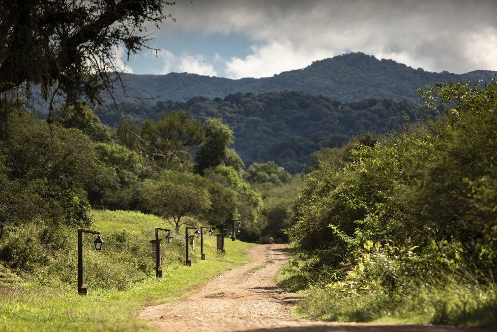 En Salta hay parques nacionales perfectos para conocer en familia este verano.