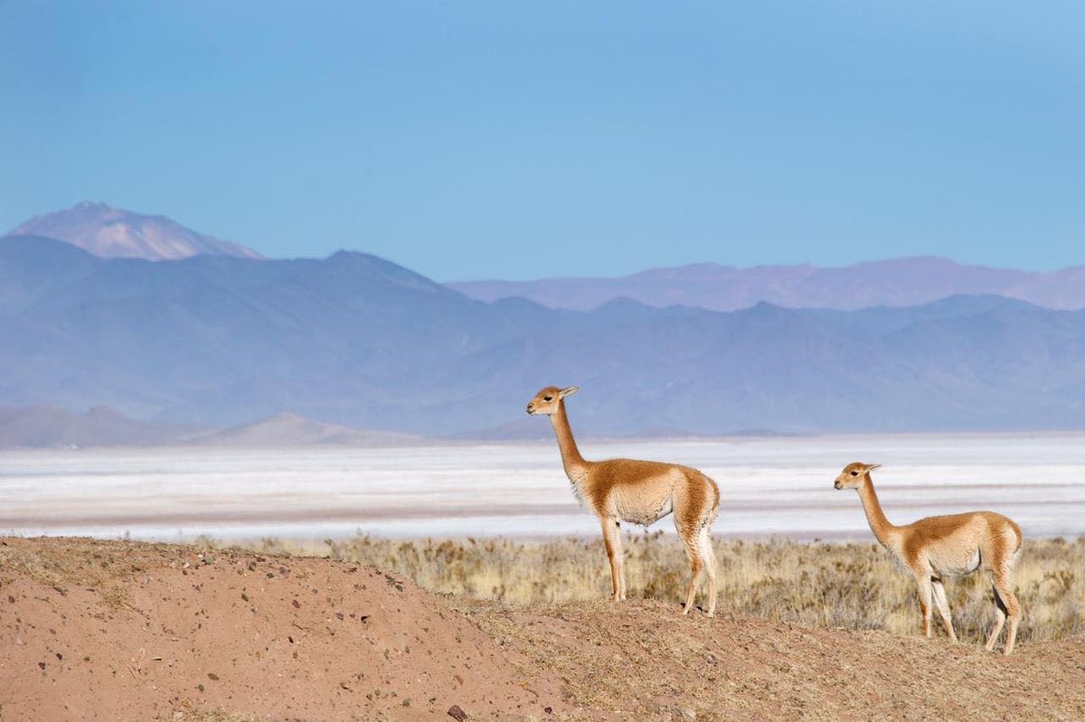 10 lugares turísticos de Jujuy que no conocés y recomendamos