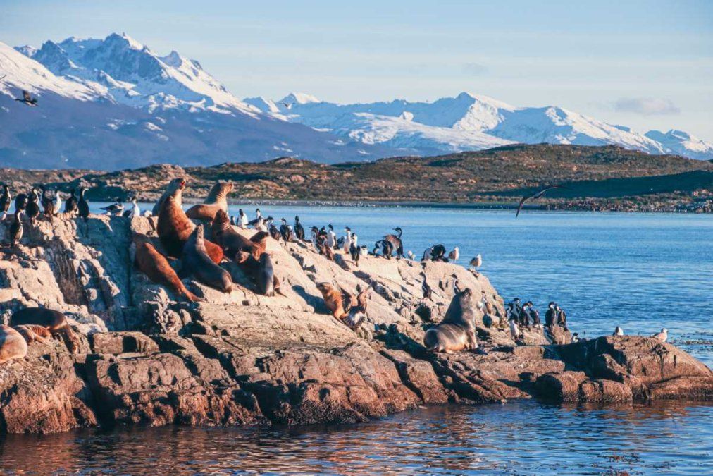 Ushuaia es un destino turístico repleto de vegetación y naturaleza en el verano.