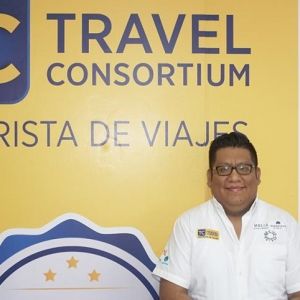 - Ladevi Medios y Soluciones